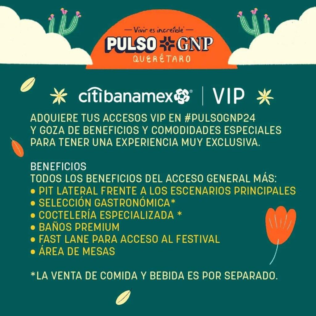 PULSO GNP - ENTRADA VIP